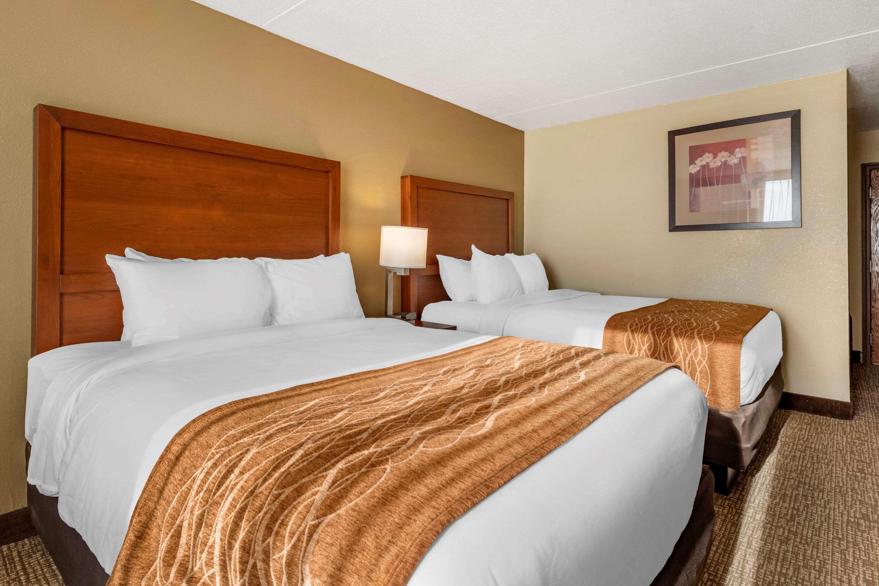 Comfort Inn & Suites Triadelphia Exteriér fotografie